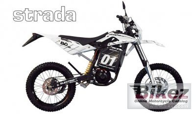 2010 Quantya Strada photo